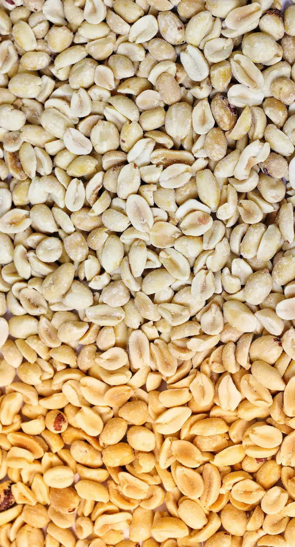 Blanched — Groundnuts exported by GoodBiz Agri