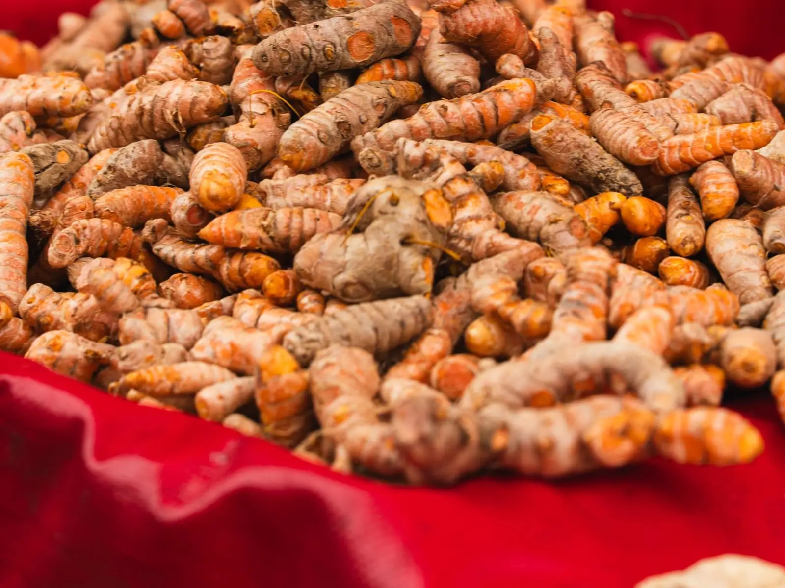 Turmeric for export from India: Erode, Salem and Alleppey — India's turmeric heartland