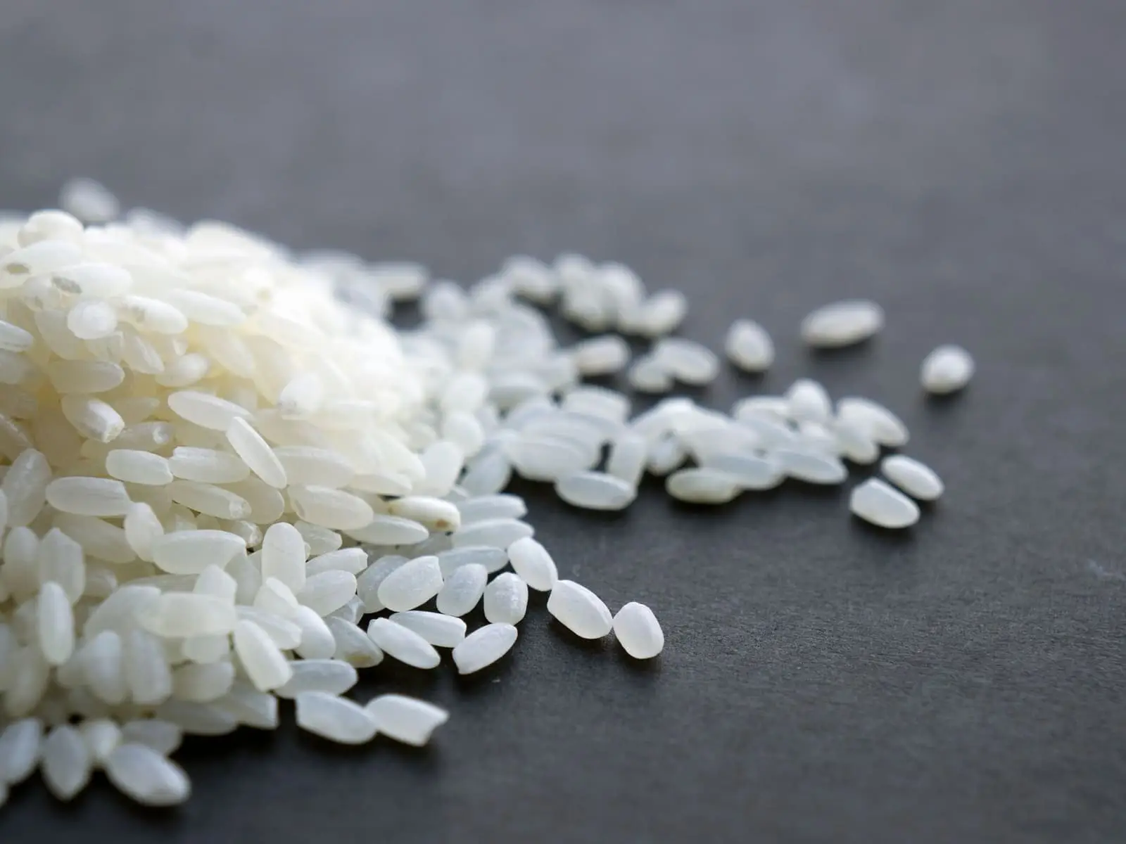 Broken Rice for export from India: Godavari delta, Nellore and Raichur mills