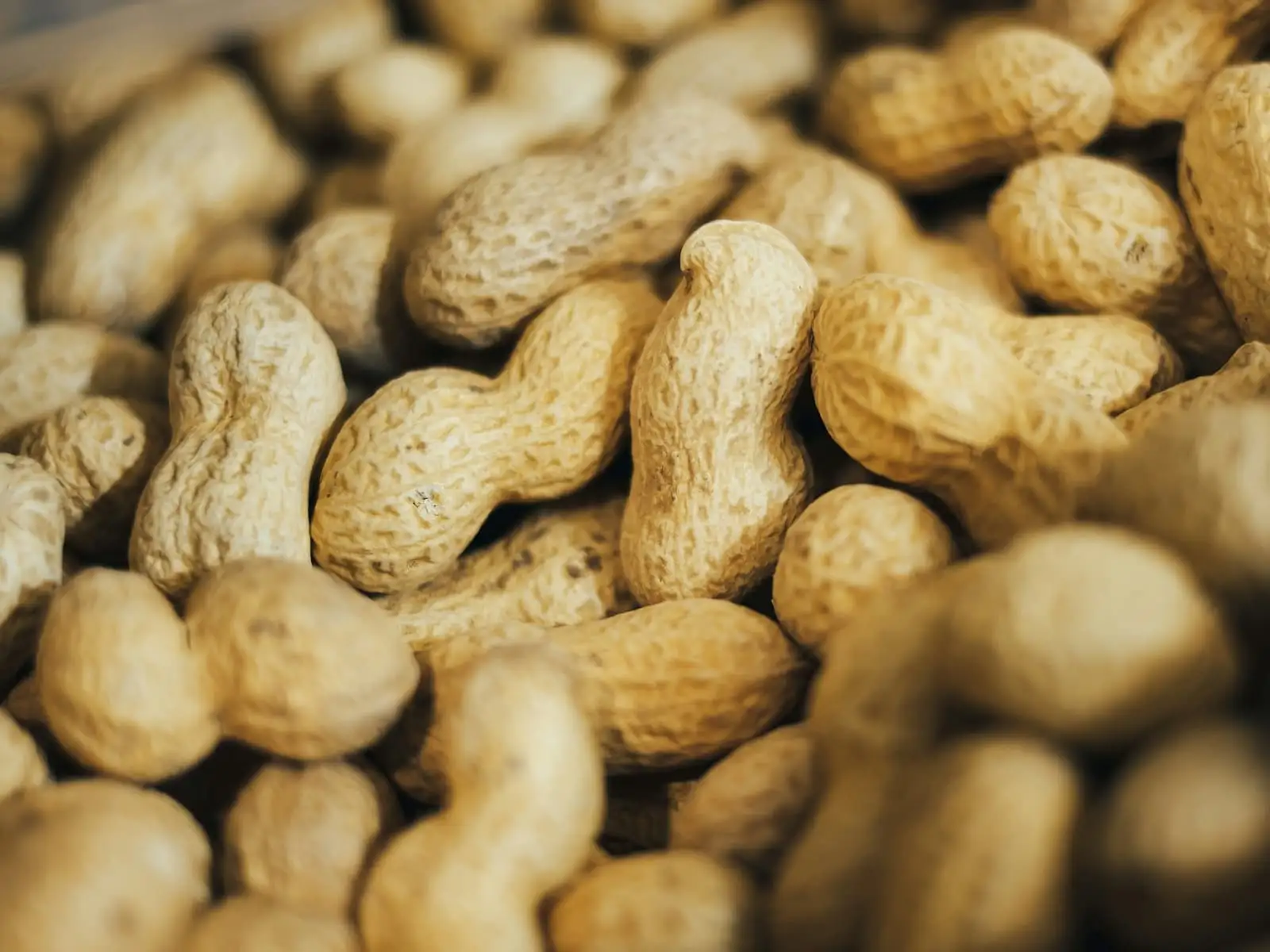 Groundnut kernels: bold, Java and blanched peanuts for export from India: Chitradurga, Anantapur and Tiruvannamalai