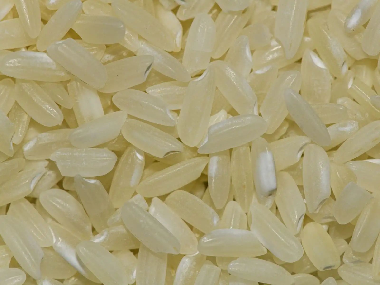 South Indian Rice for export from India: Raichur, Mandya, Thanjavur and Palakkad mills