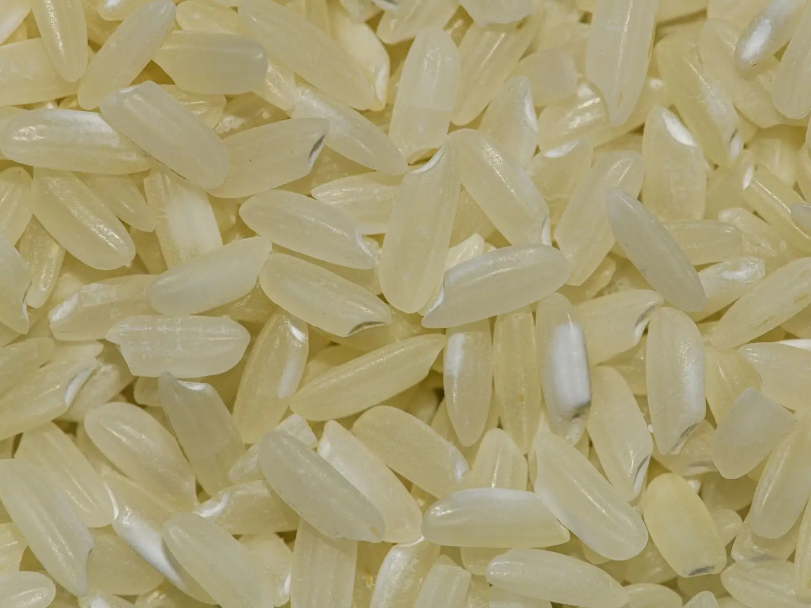 South Indian Rice for export from India: Raichur, Mandya, Thanjavur and Palakkad mills