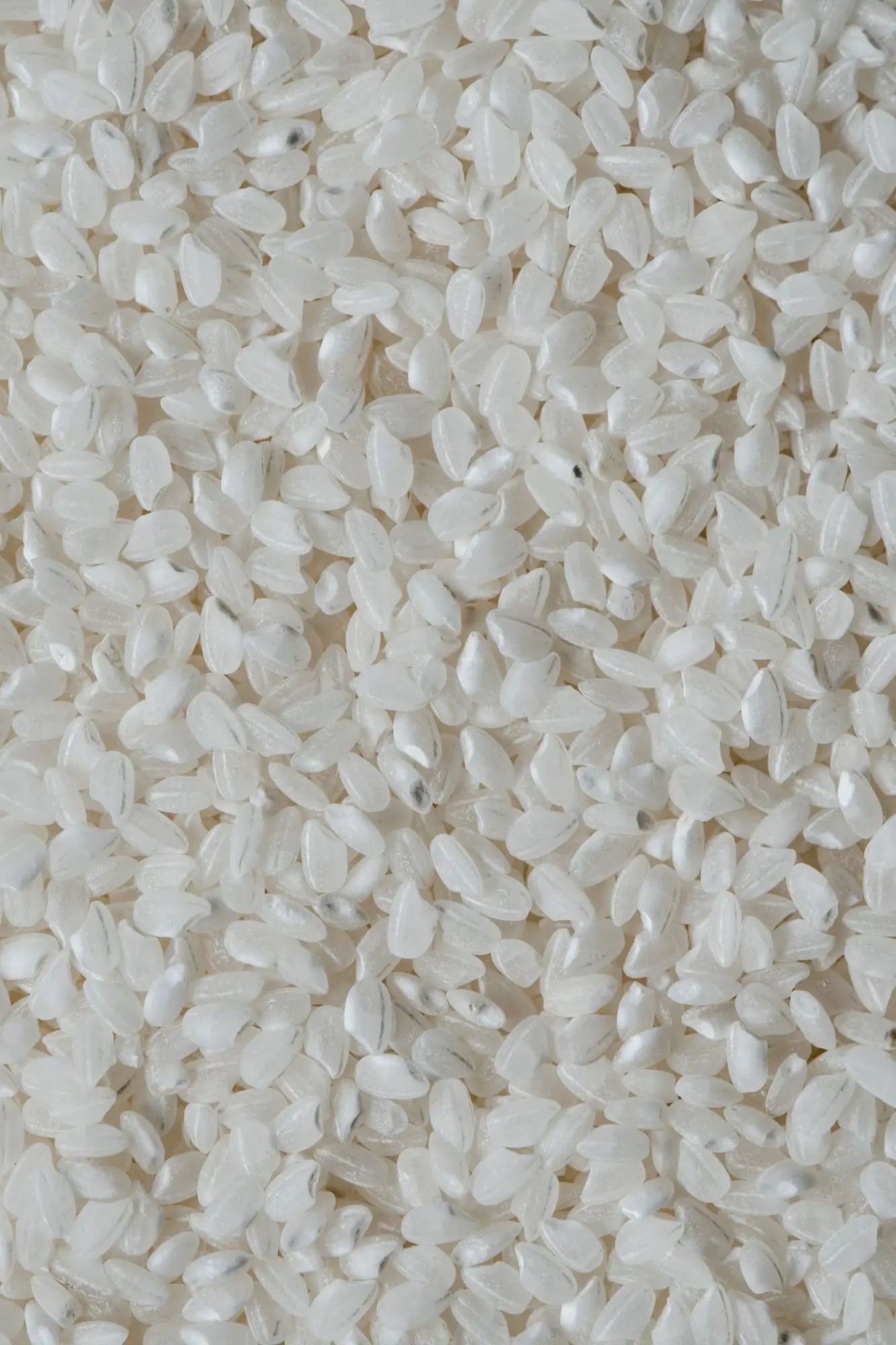 Idli-Reis — Südindischer Reis, exportiert von GoodBiz Agri