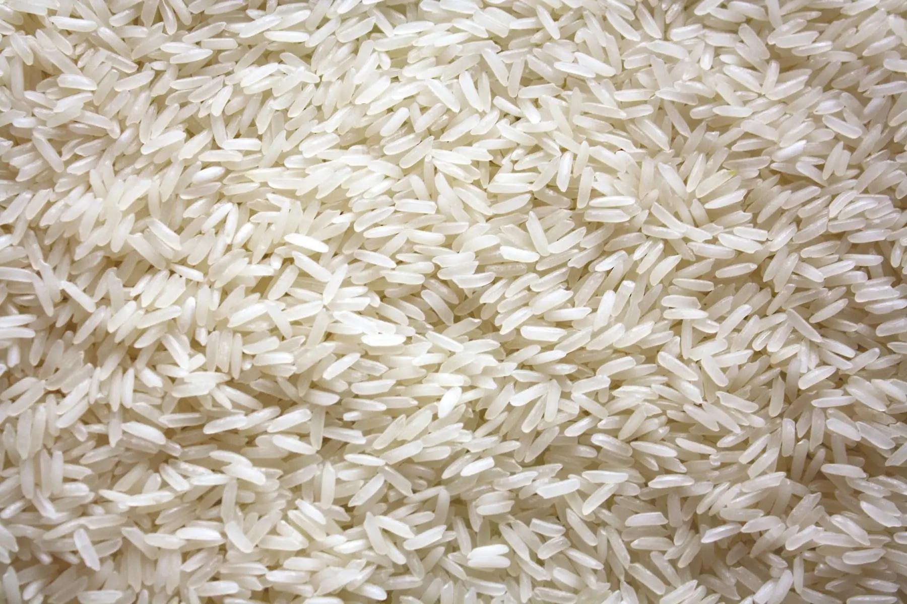 IR36 — Non-Basmati Rice exported by GoodBiz Agri