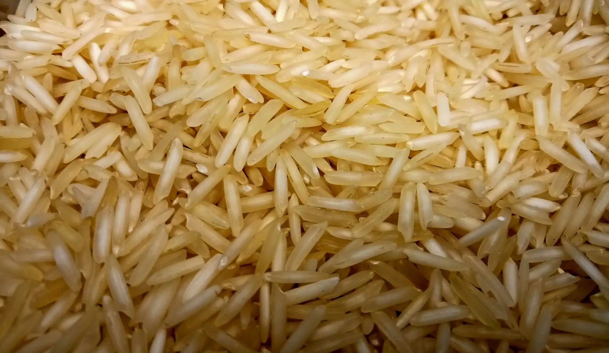 IR64 parboiled — Non-Basmati Rice exported by GoodBiz Agri