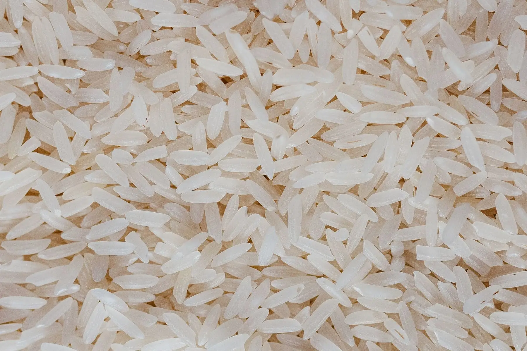 IR64 raw — Non-Basmati Rice exported by GoodBiz Agri