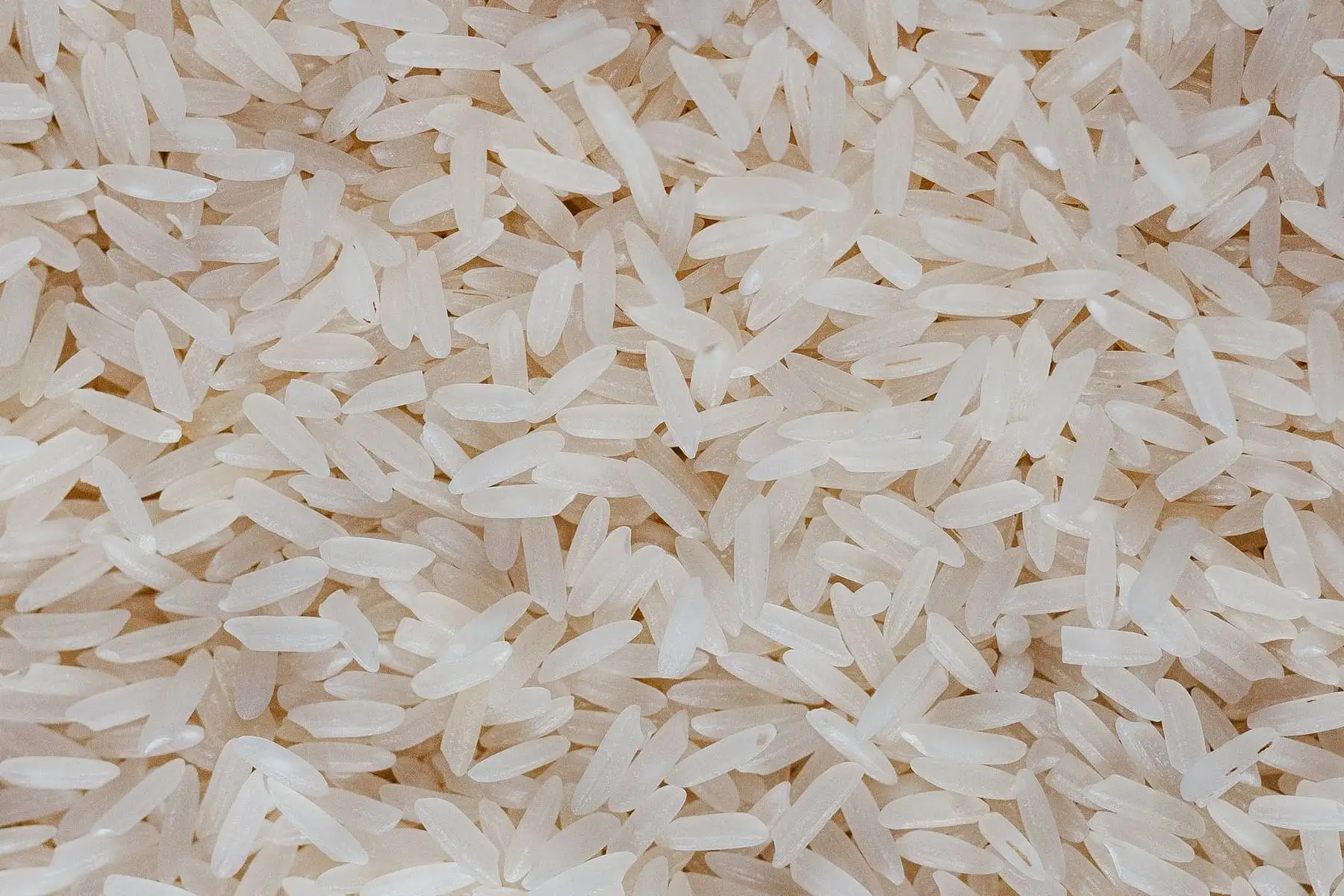 IR64 raw — Non-Basmati Rice exported by GoodBiz Agri