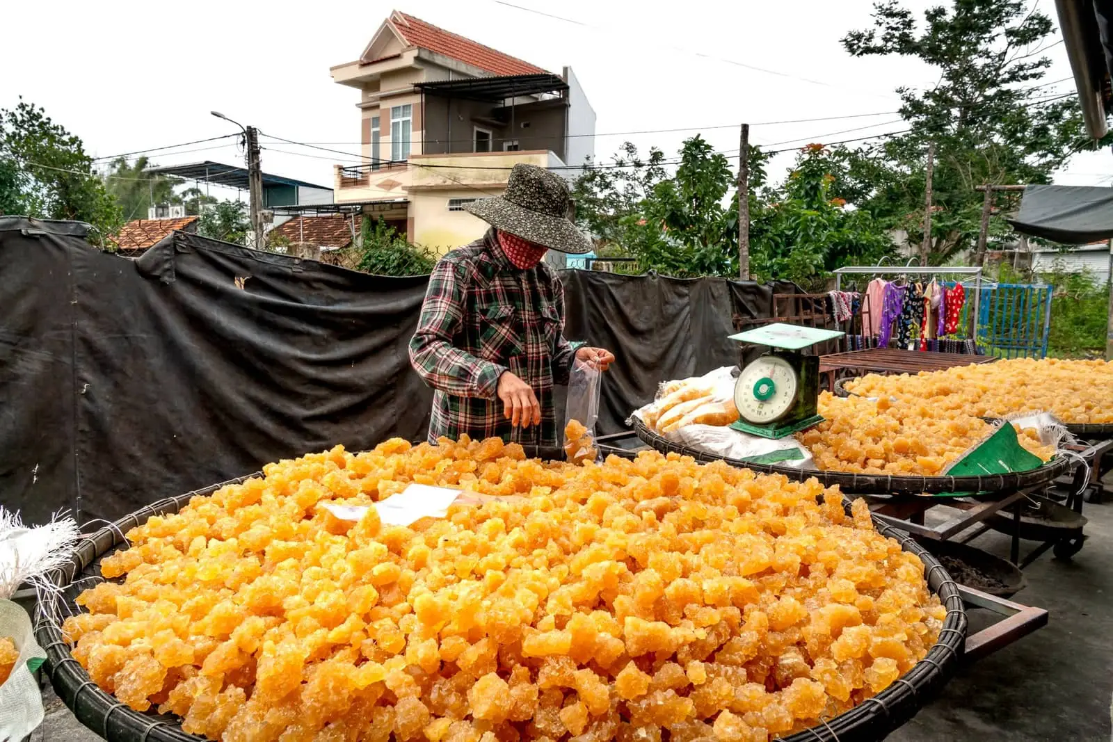 Organic jaggery — Jaggery exported by GoodBiz Agri