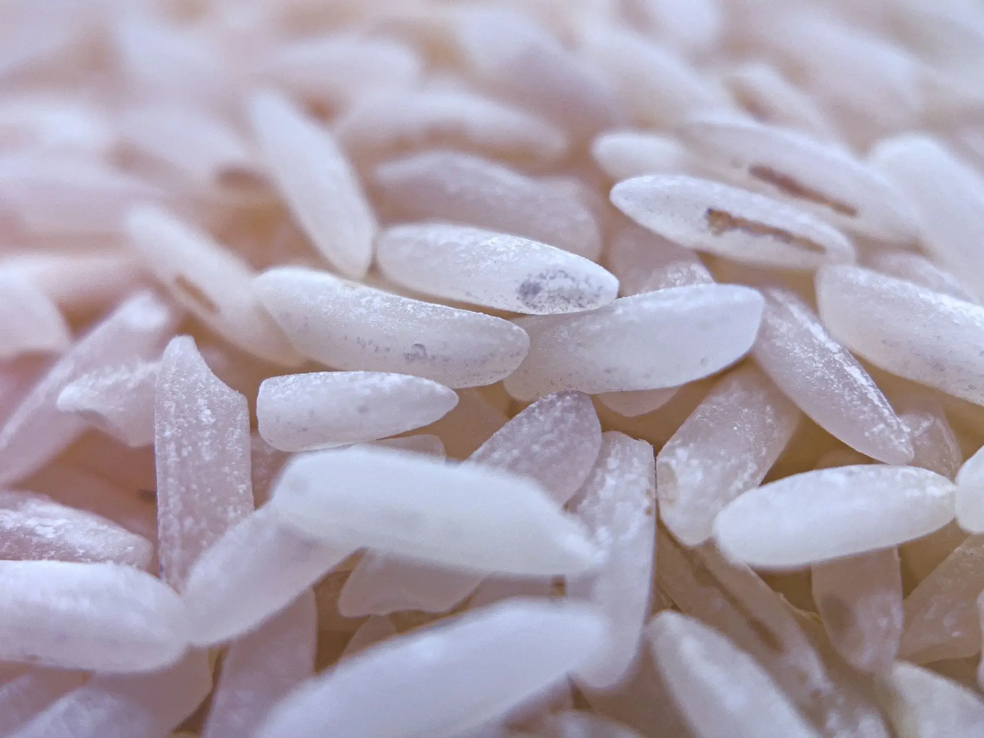 Ponni — Südindischer Reis, exportiert von GoodBiz Agri
