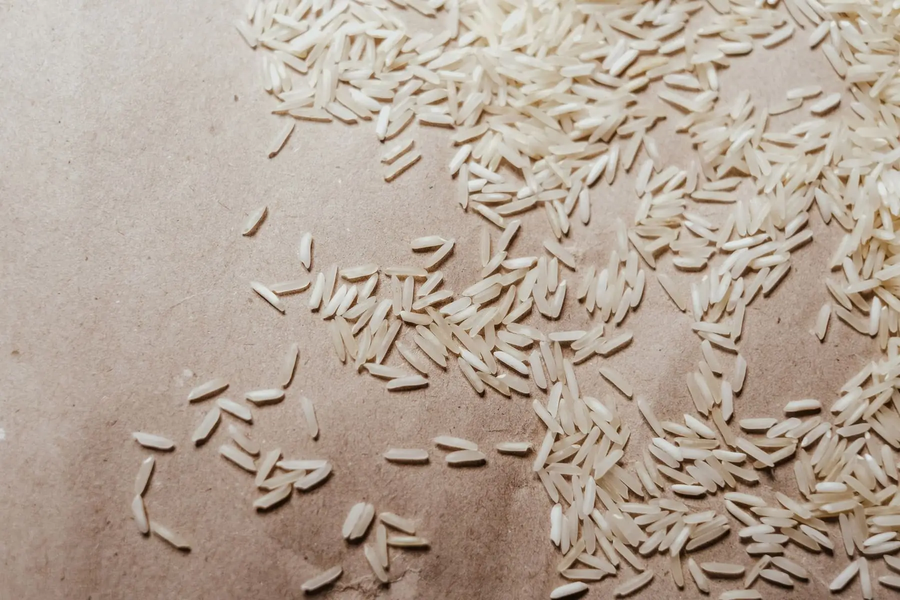 Seeraga Samba — Südindischer Reis, exportiert von GoodBiz Agri