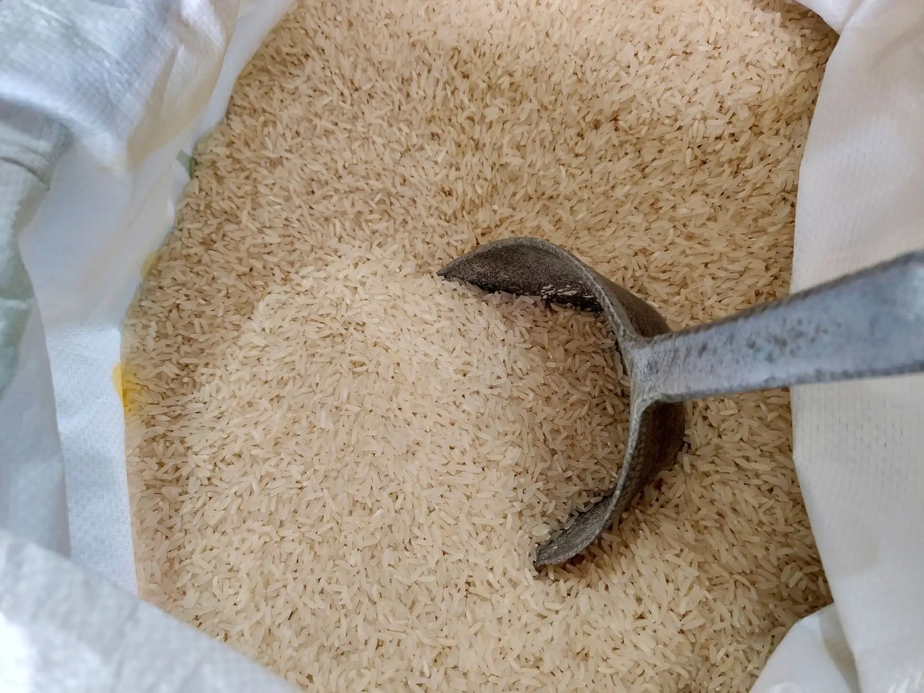 Sona Masoori (raw) — South Indian Rice exported by GoodBiz Agri