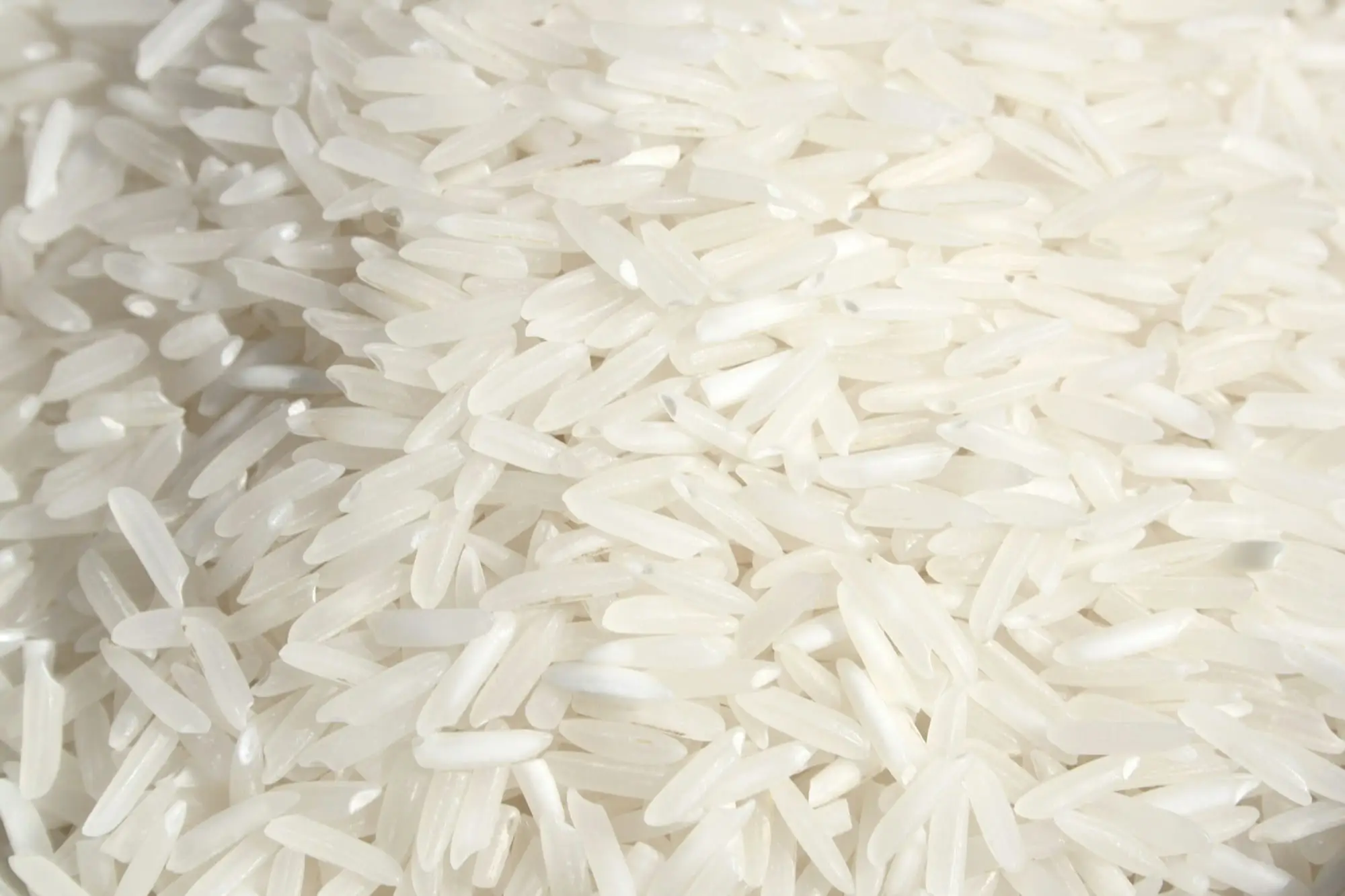 Sortexed broken — Broken Rice exported by GoodBiz Agri