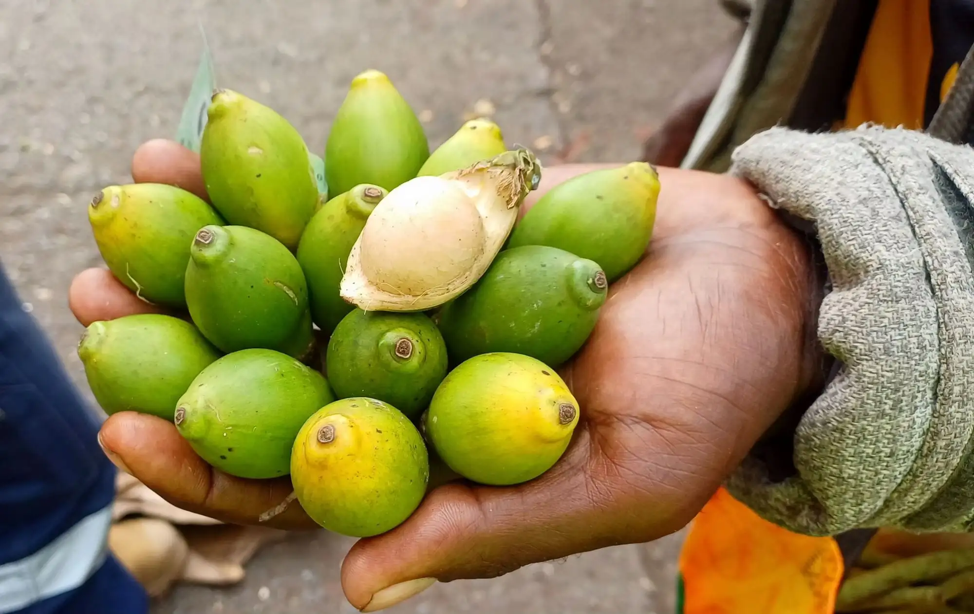 Split arecanut — Arecanut exported by GoodBiz Agri