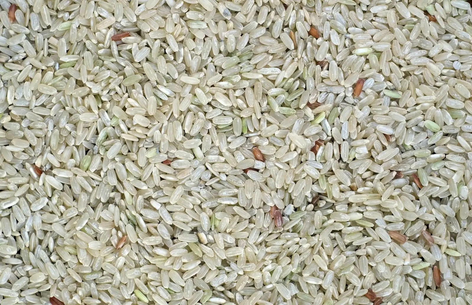 100% white broken — Broken Rice exported by GoodBiz Agri