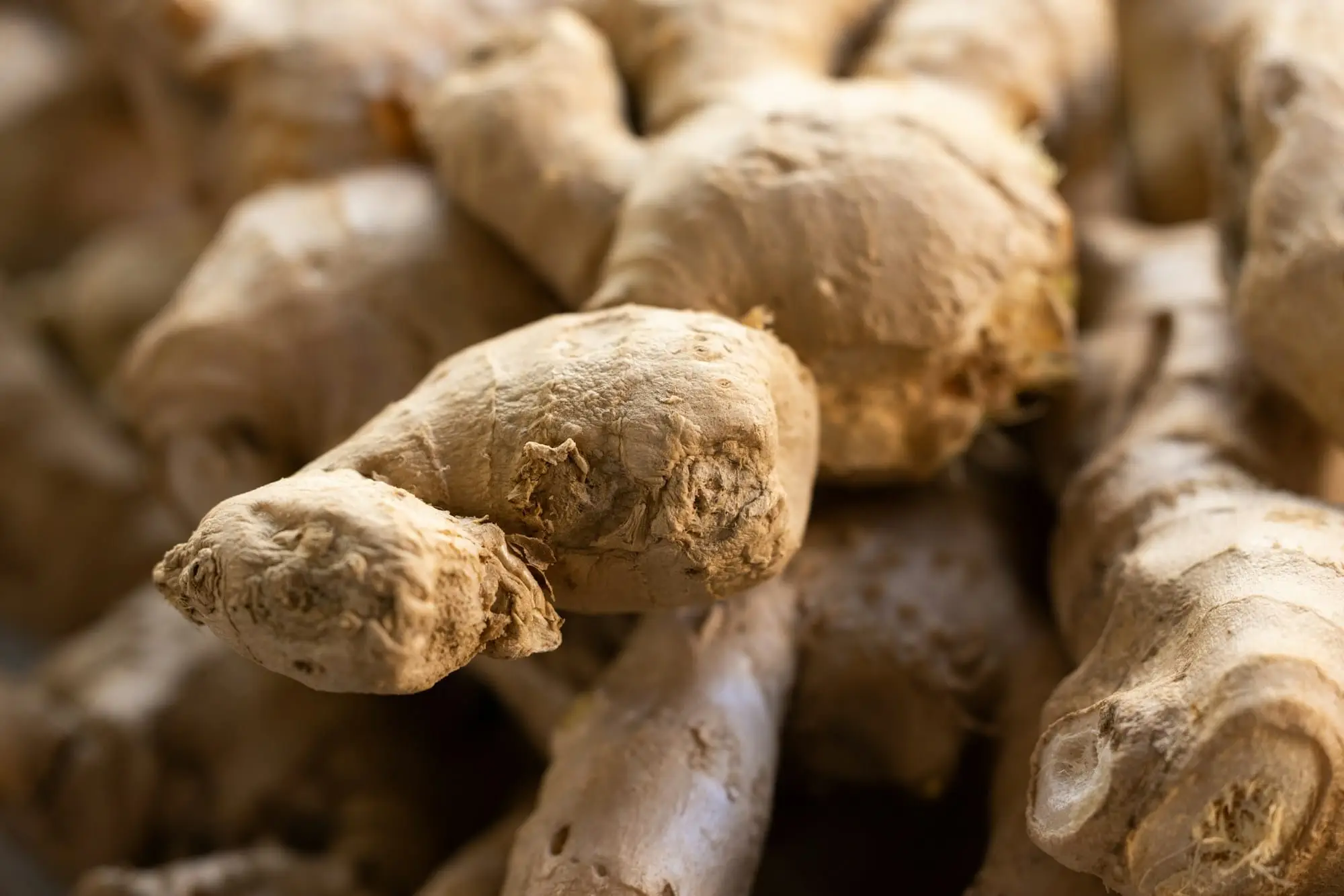 Whole dried ginger (other) — Ginger exported by GoodBiz Agri